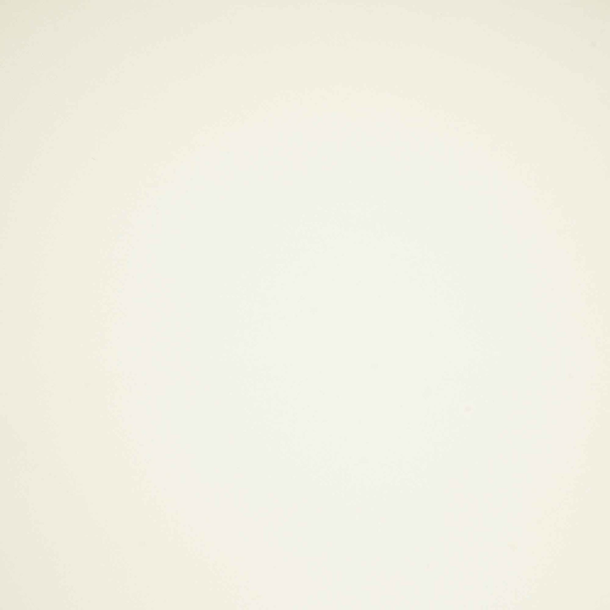 White Solid Japanese Suiting Fabric 42811 BE-25484