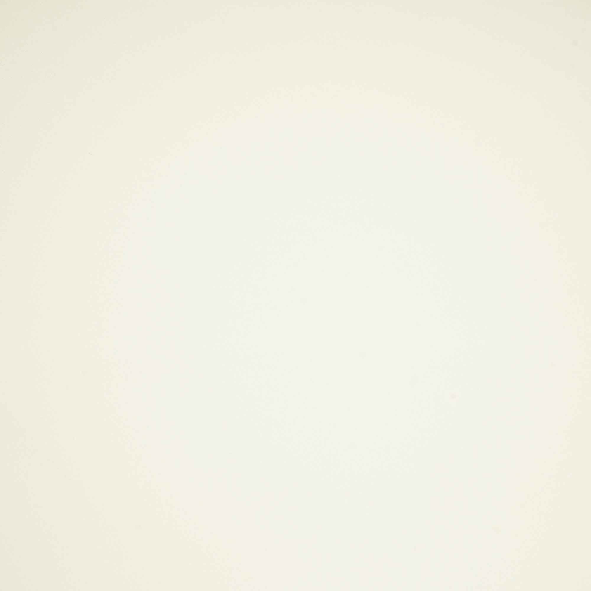 White Solid Japanese Suiting Fabric 42811 BE-25484