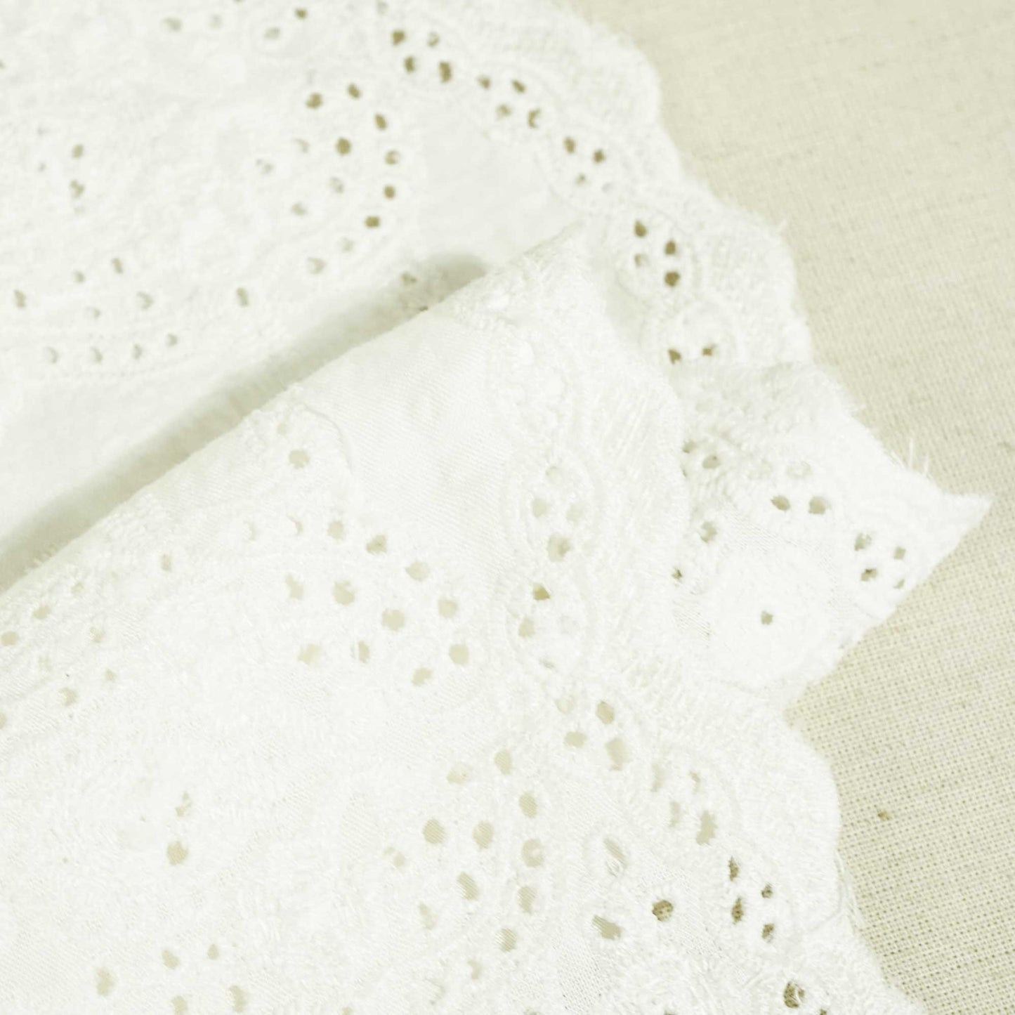 White Dyeable Schiffli on Border Cotton Fabric AF-25504