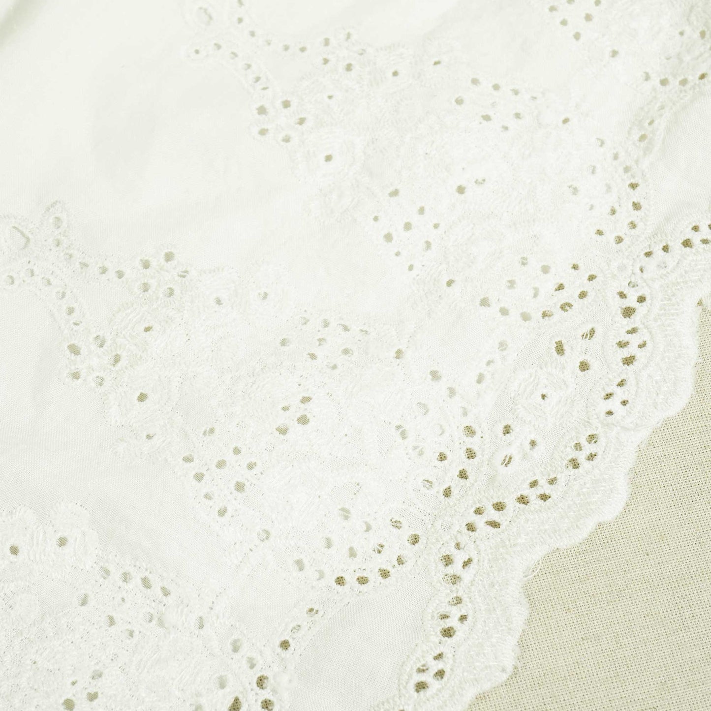 White Dyeable Schiffli on Border Cotton Fabric AF-25504