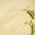 Beige Floral Hakoba Embroidery Cotton Fabric CF-26521