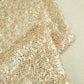 Beige Net Lycra Sequence Net Lycra LFP-27194