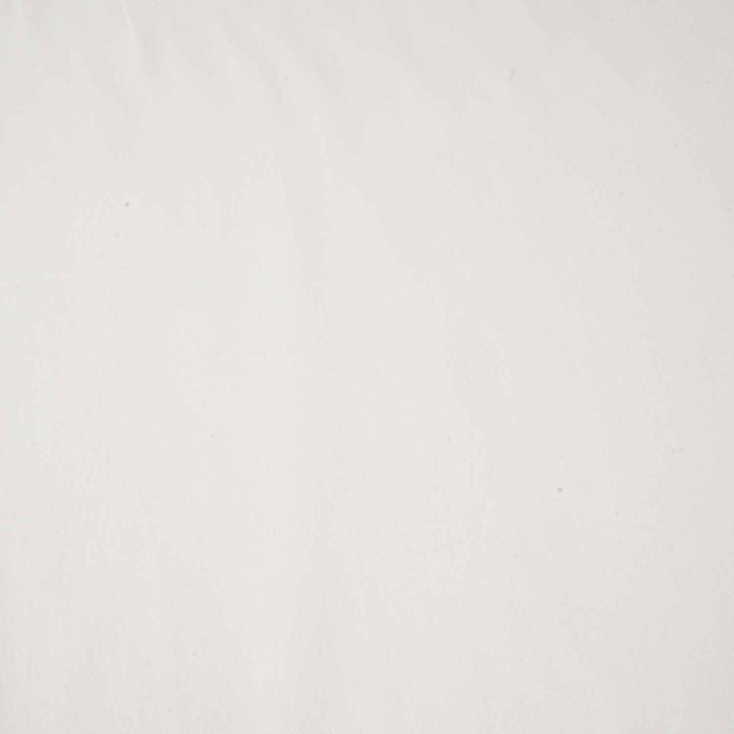 Off White Solid Pure Georgette Fabric NS-27838
