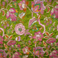 Parrot Green Position Print Zari Embroidery Crepe Fabric NF-28009