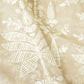 Fawn Chikankari Georgette Fabric DRAJ-28081