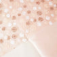 Peach With White Brown Sequins Embroidery Net Fabric