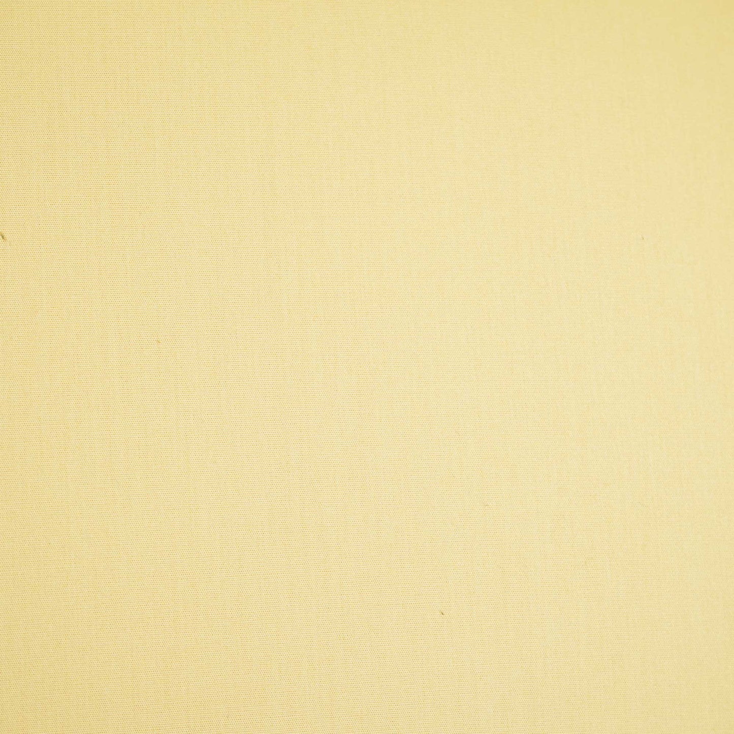 Cream Solid Poplin Fabric STI-8883