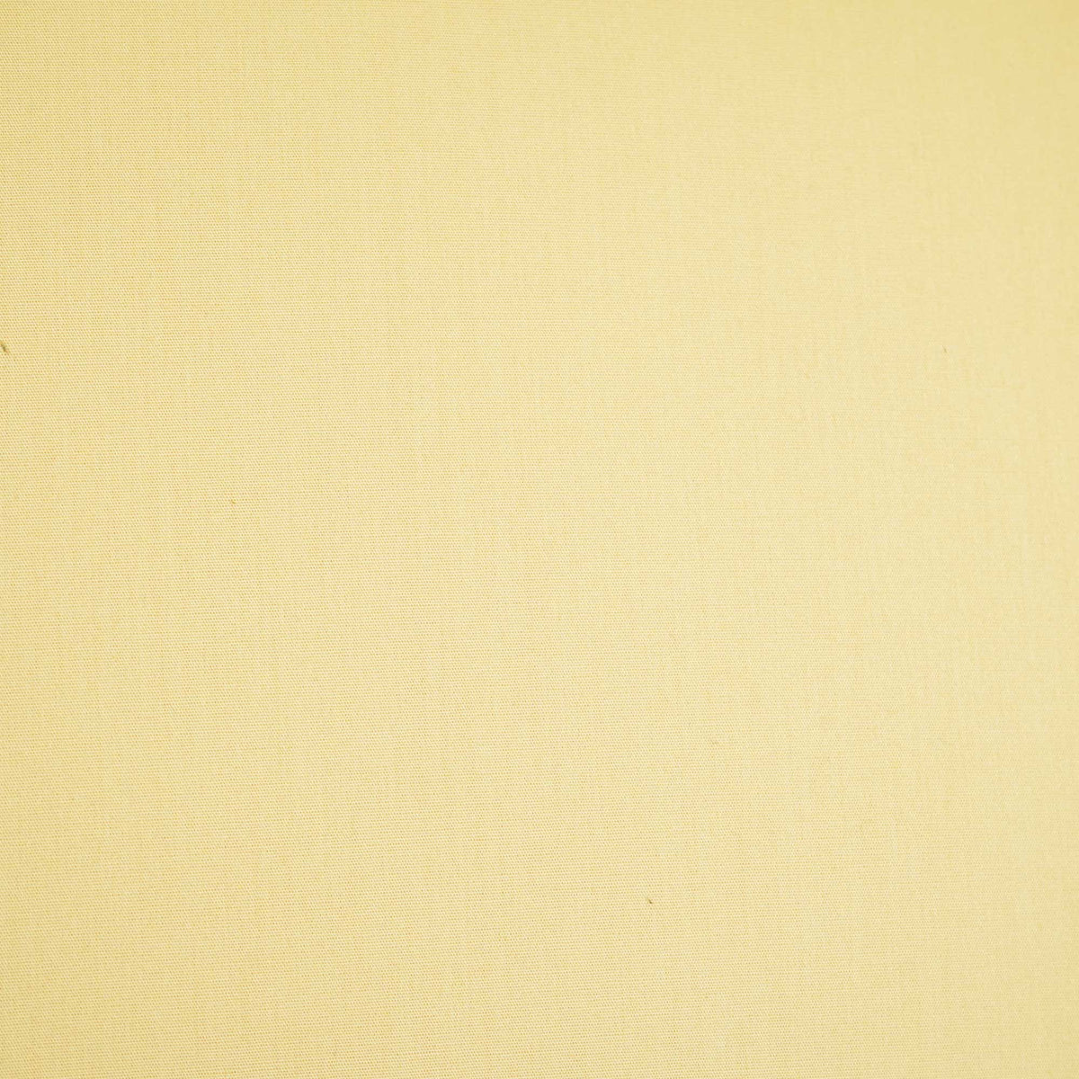 Cream Solid Poplin Fabric STI-8883