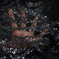 Black & Silver Handwork Bead Imported & Sequence Embroidery Net CF-8998