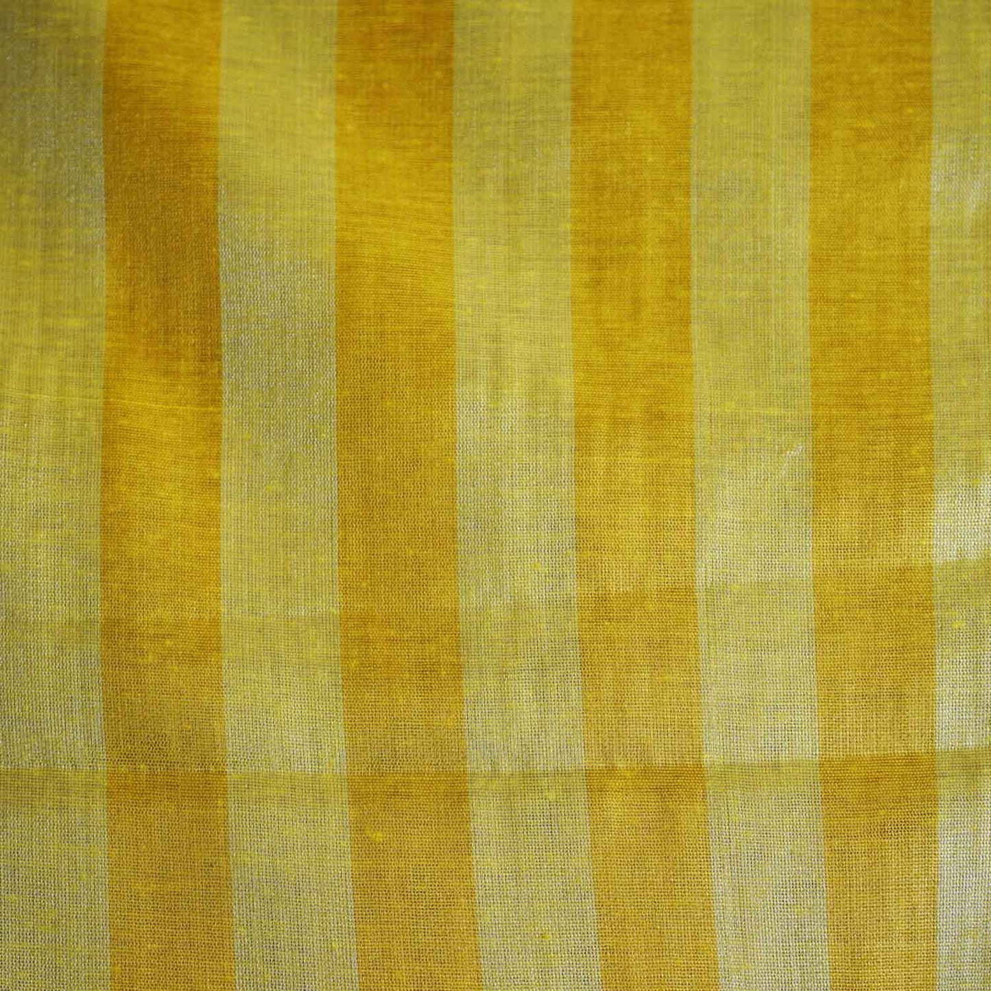 Lemon With Mustard Yellow Strips Chanderi Tissue Fabric CW-28925