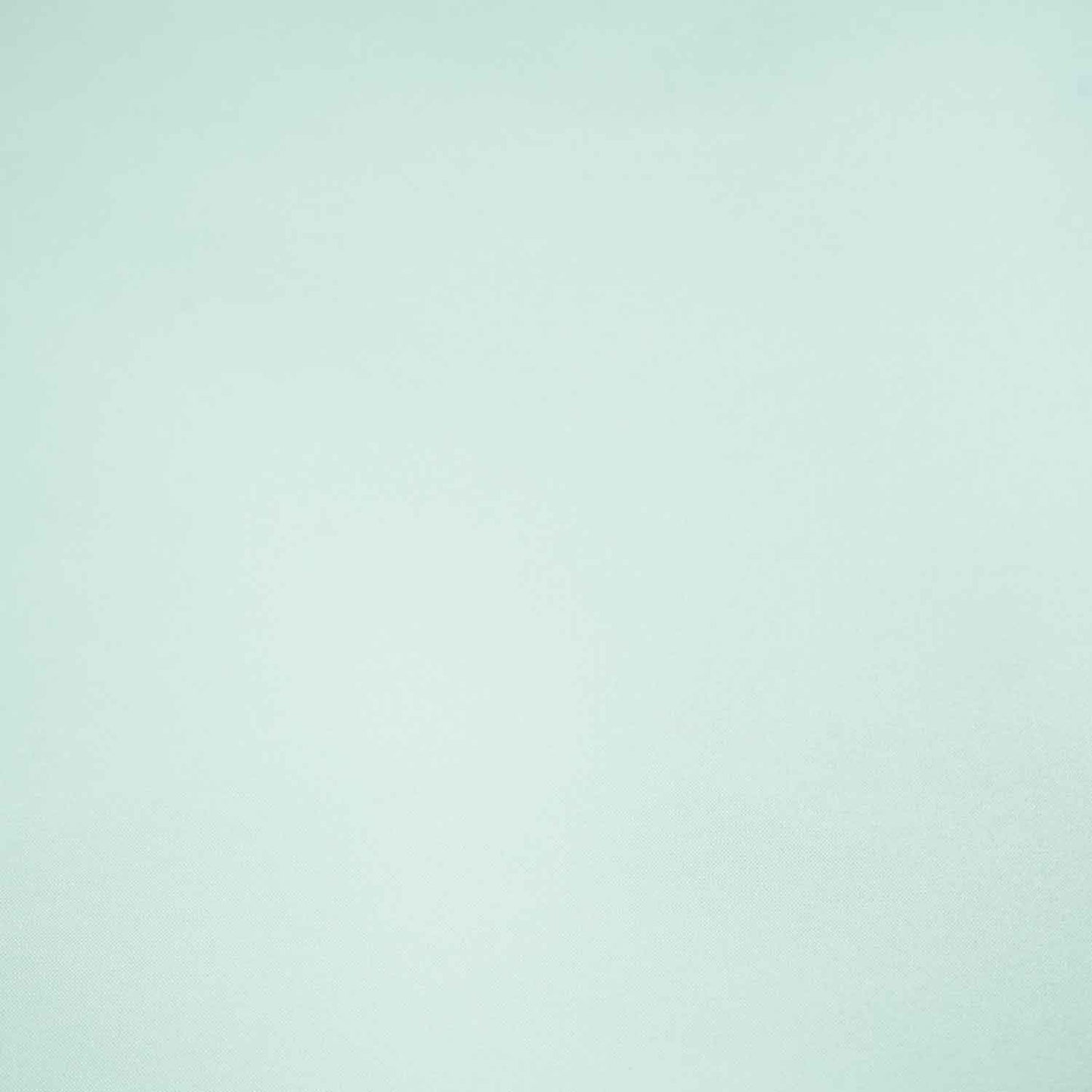 White Solid Silk Taffeta OE-9969