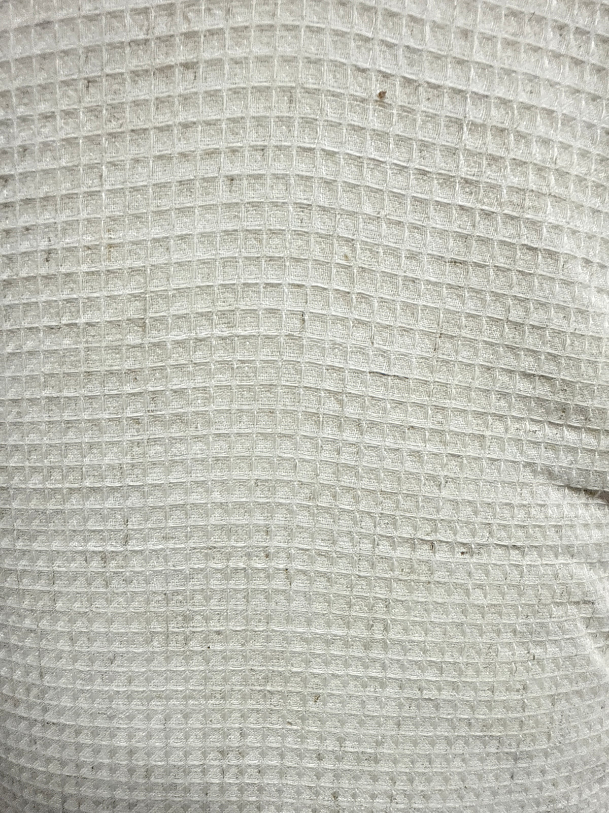 Natural Solid PCL Fabric TRN-29947