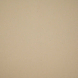 Beige Solid 60Gm Georgette Fabric SSMG-30 - TradeUNO