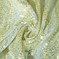 Silver & Gold Dyeable Sequins Embroidery Georgette Fabric