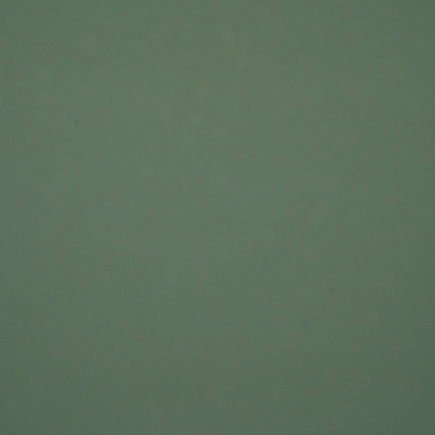 560 GSM Single Side Coated PVC Fabric Olive Green