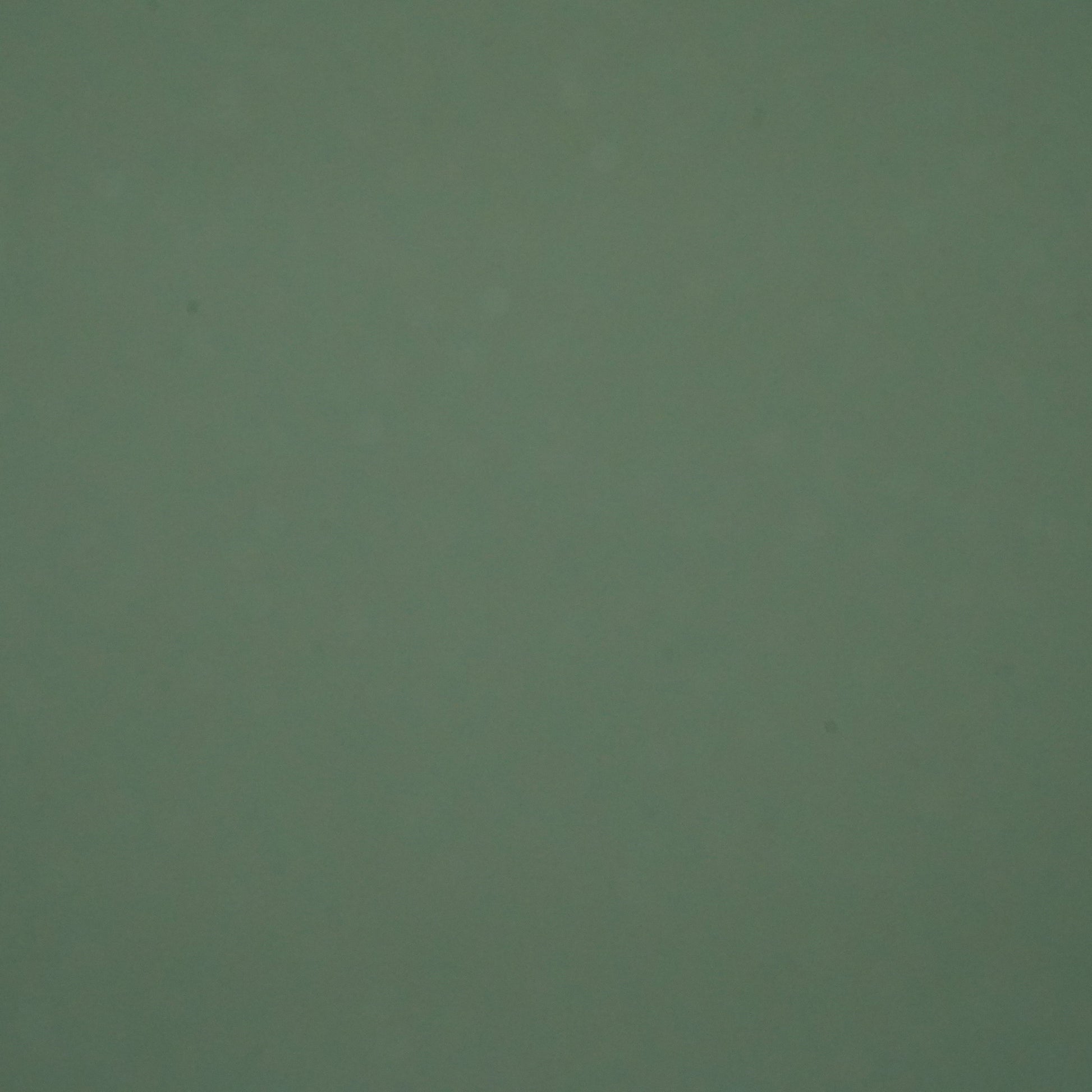560 GSM Single Side Coated PVC Fabric Olive Green