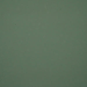 560 GSM Single Side Coated PVC Fabric Olive Green