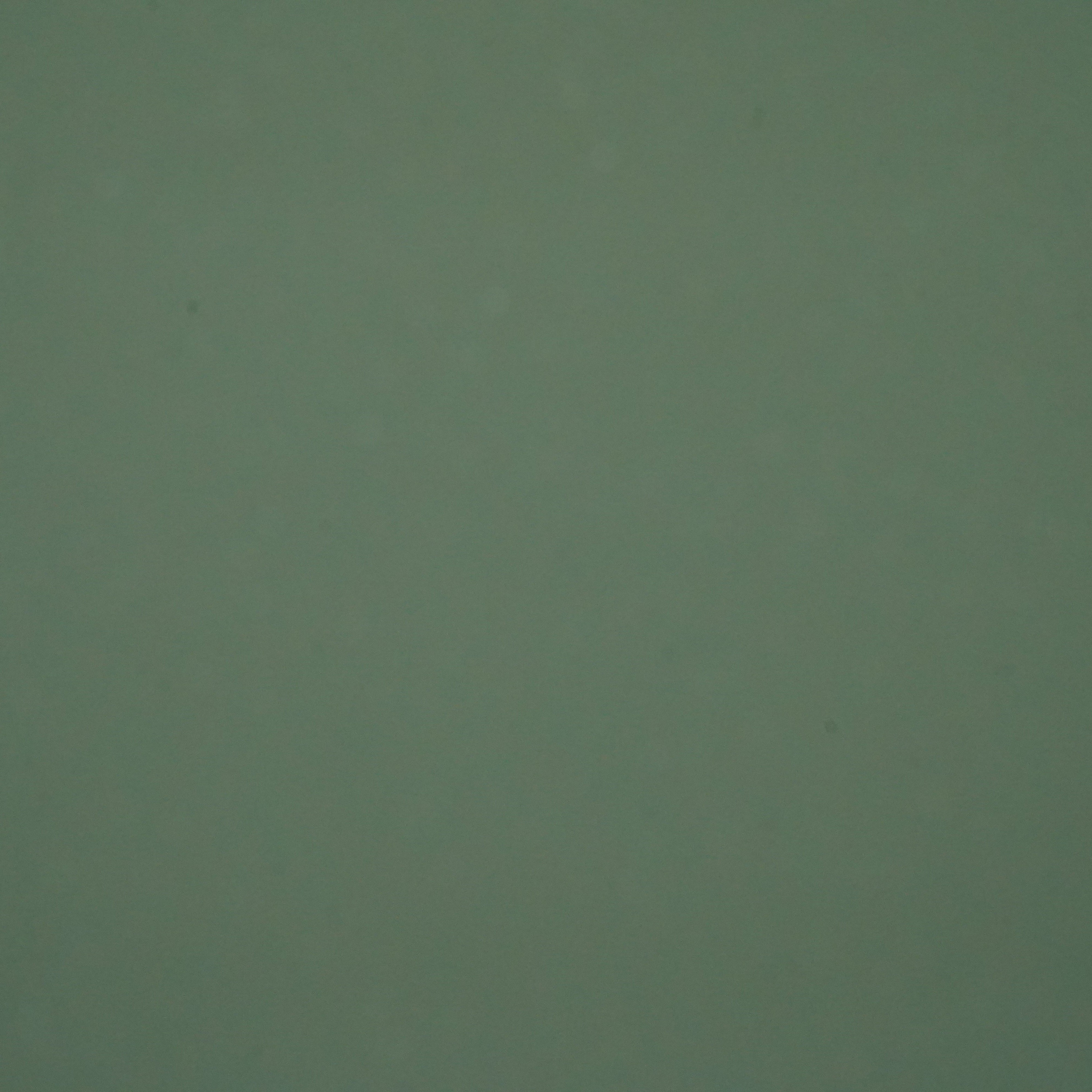 560 GSM Single Side Coated PVC Fabric Olive Green