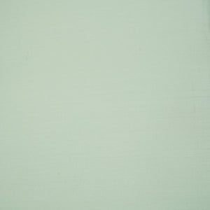 Pista Green Solid Giza Cotton Fabric STI-24636