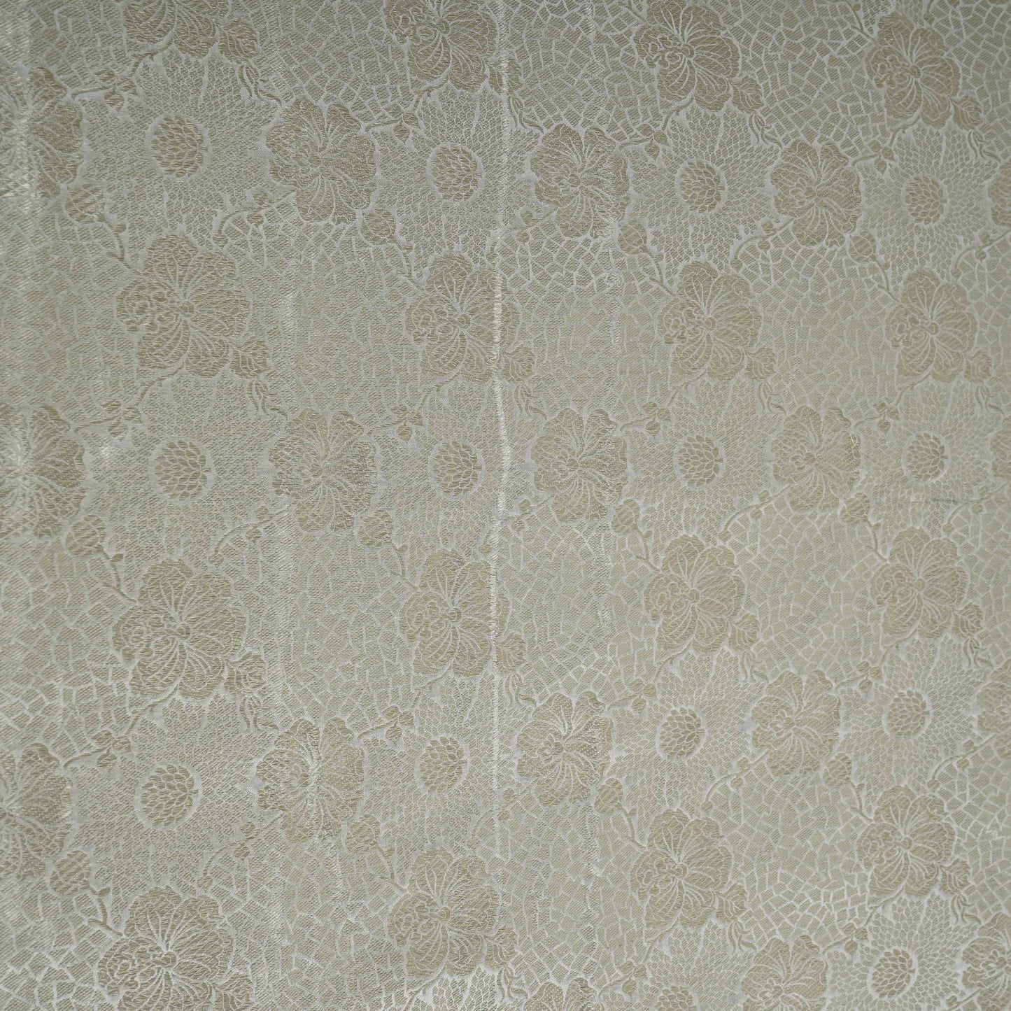 Off White With Silver Zari Jaal Dyeable Katan Brocade Fabric CW-32493