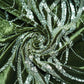 Green Sequins Cutdana Embroidery Velvet Fabric 19993