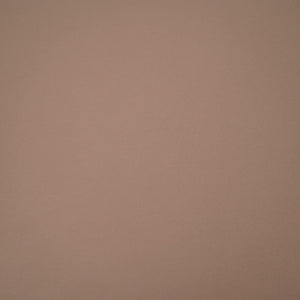 Beige Solid Japanese Suiting Fabric DGI-31313 - TradeUNO