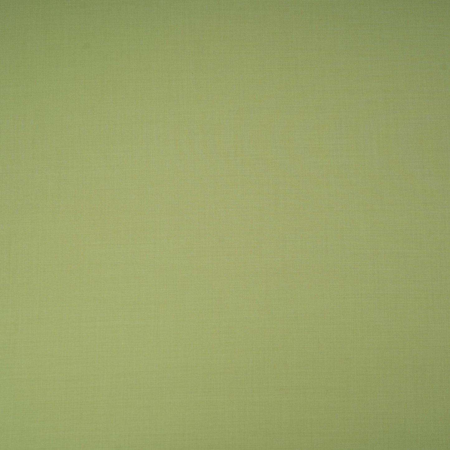 Sage Green Solid Lizzy Bizzy Fabric RTL-31447 - TradeUNO