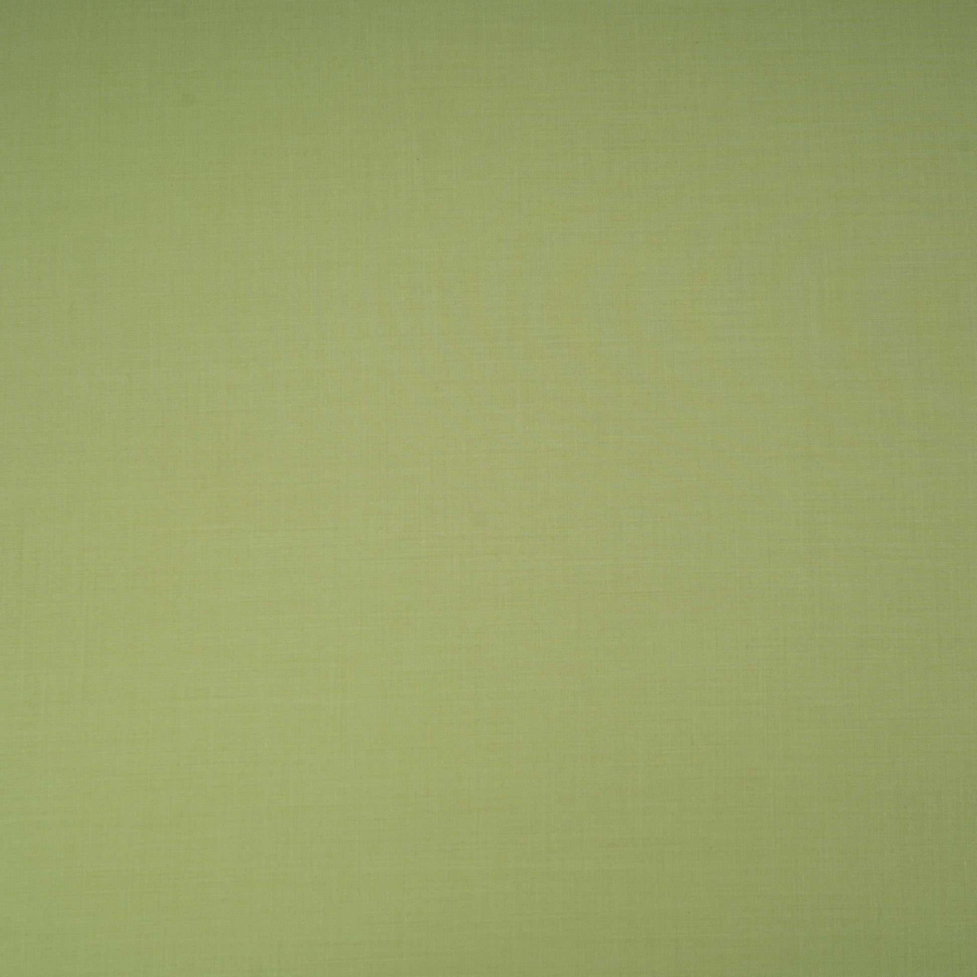 Sage Green Solid Lizzy Bizzy Fabric RTL-31447 - TradeUNO