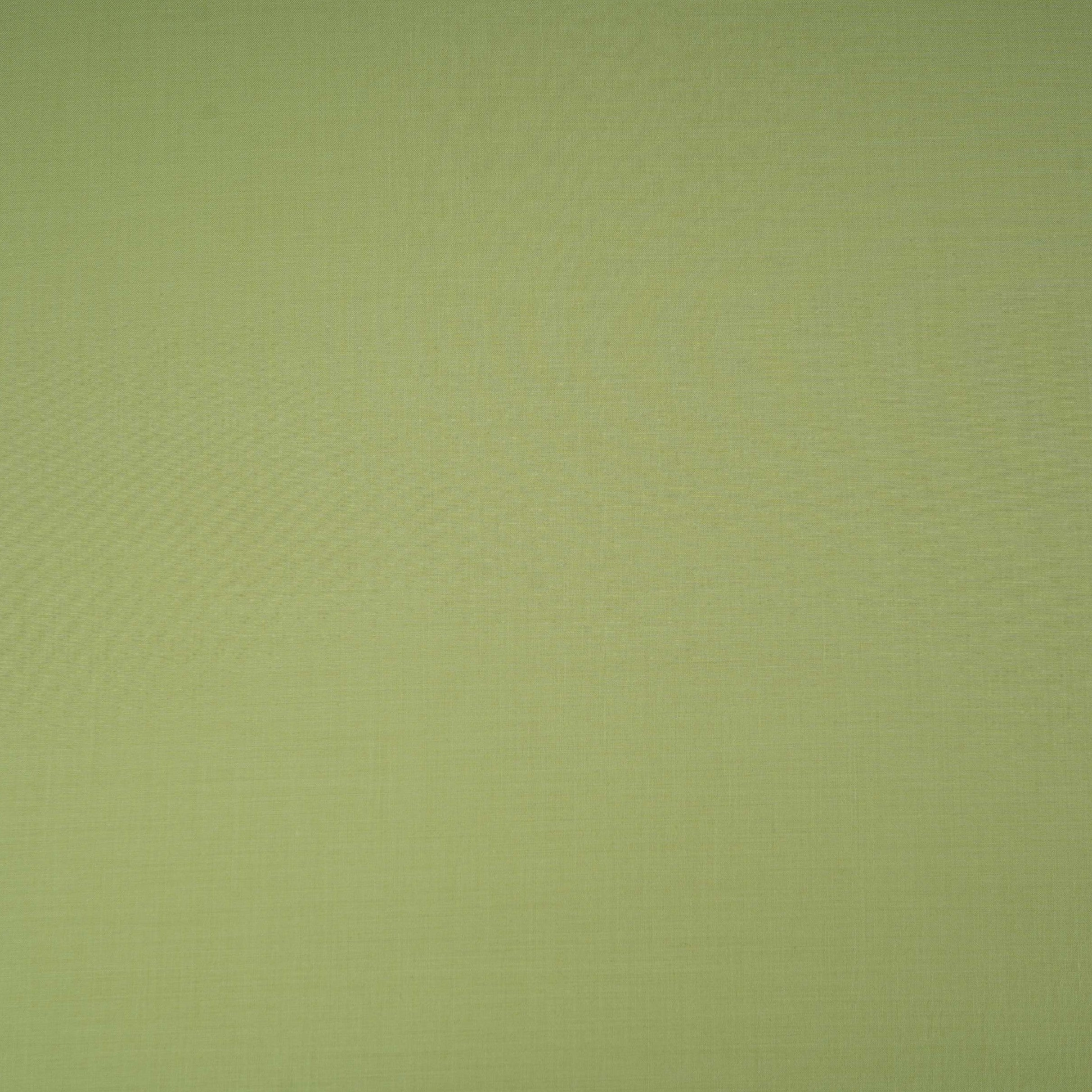 Sage Green Solid Lizzy Bizzy Fabric RTL-31447 - TradeUNO