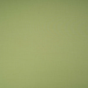 Sage Green Solid Lizzy Bizzy Fabric RTL-31447 - TradeUNO