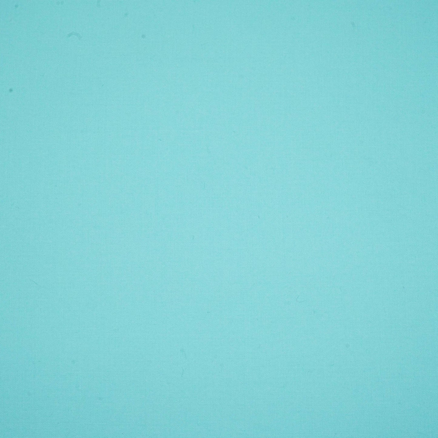 Powder Blue Solid Lizzy Bizzy Fabric RTL-31251