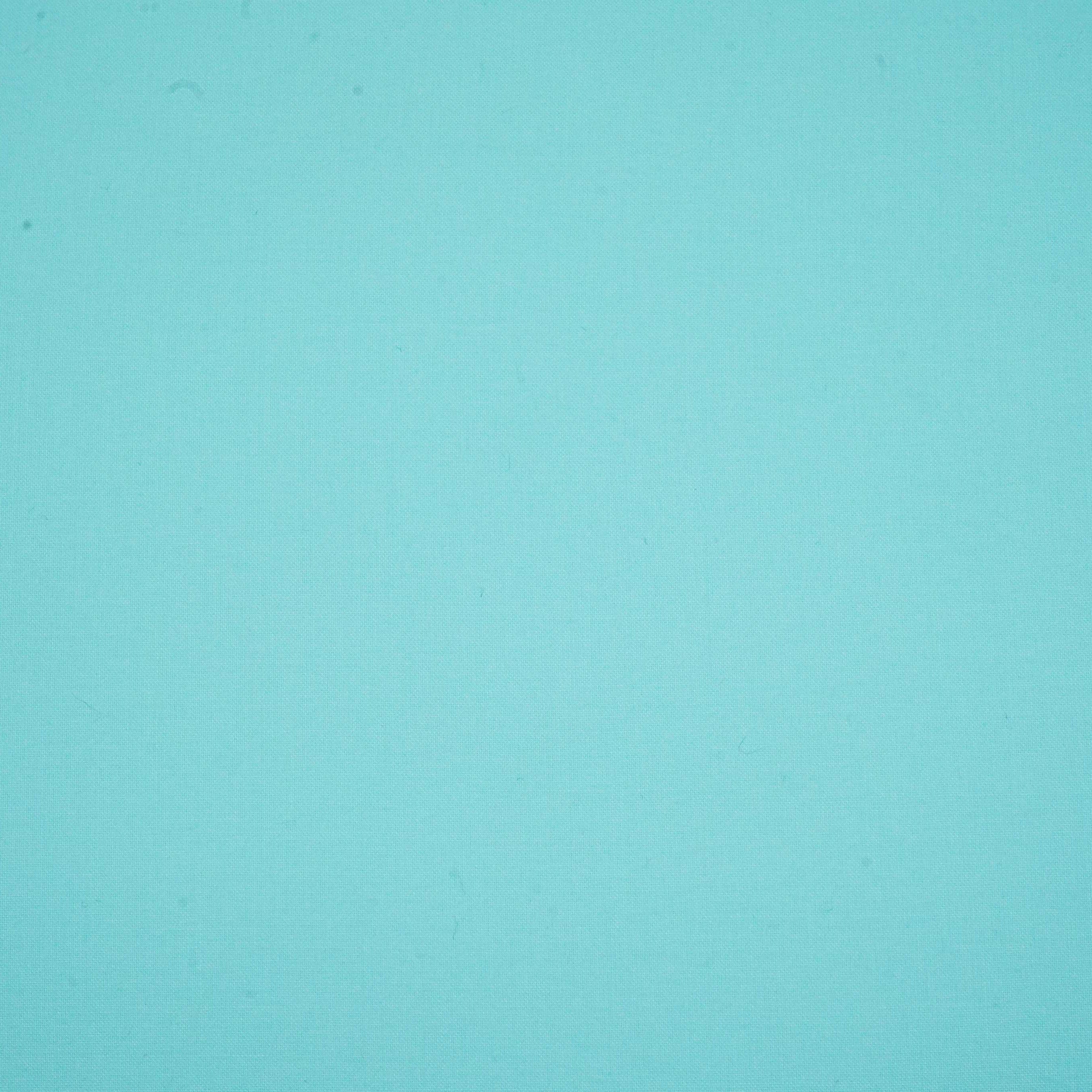 Powder Blue Solid Lizzy Bizzy Fabric RTL-31251 - TradeUNO
