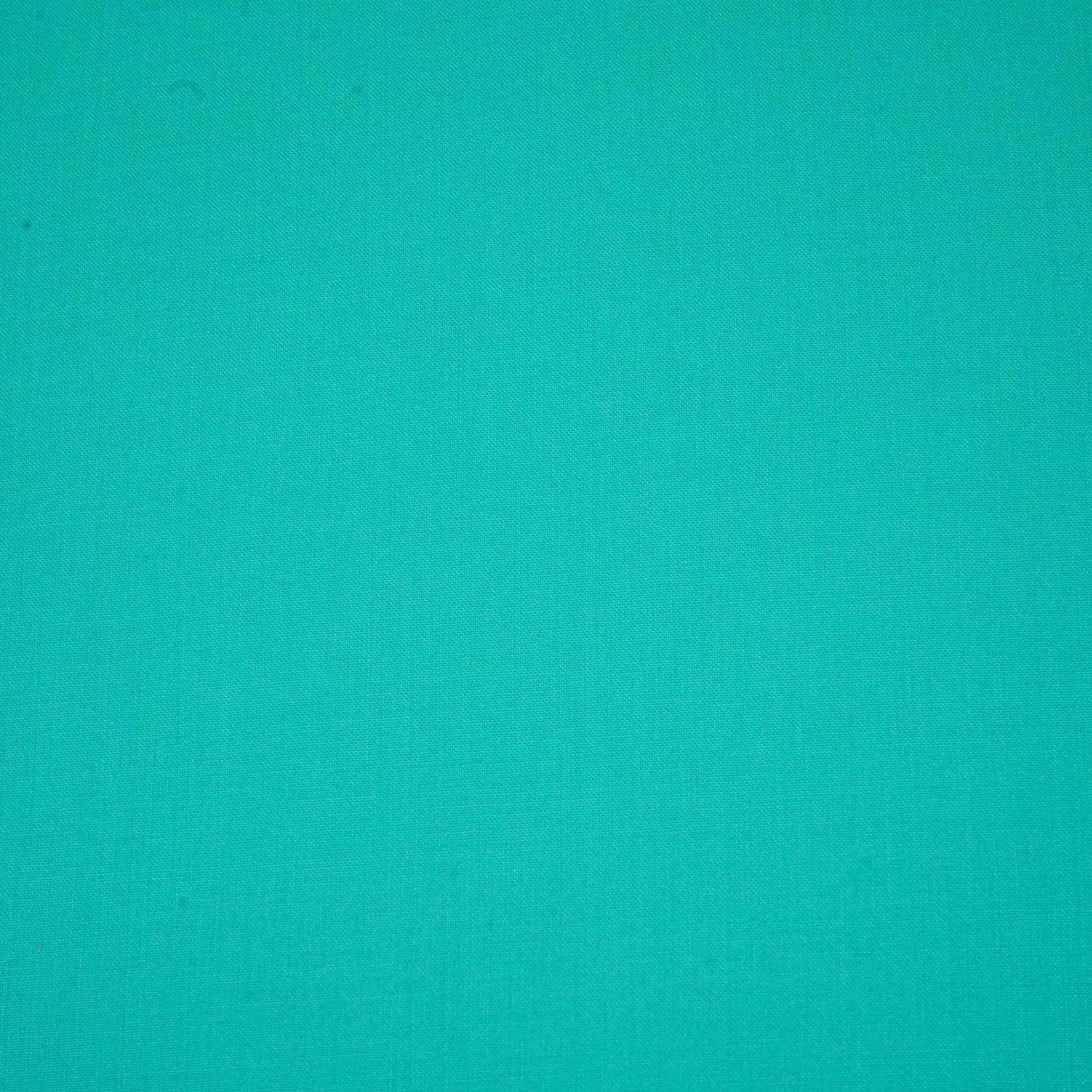 Ice Blue Solid Lizzy Bizzy Fabric RTL-31248