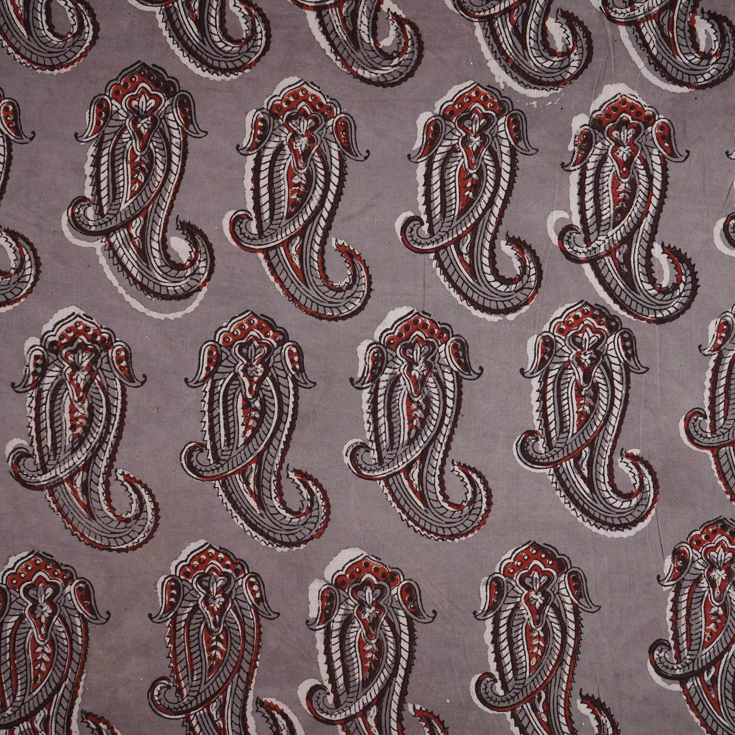 Light Grey Paisley Print Cotton Fabric CH-29764