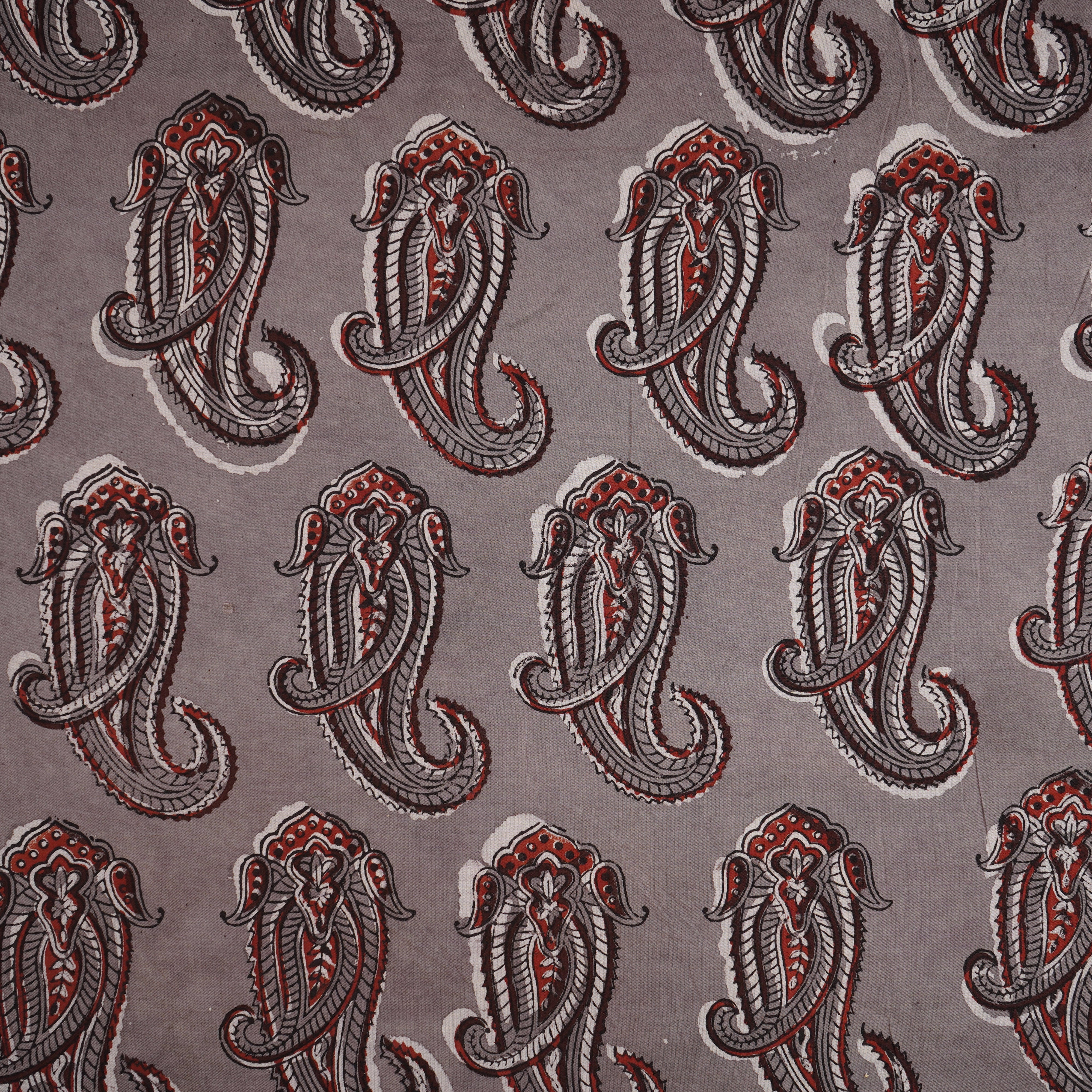 Light Grey Paisley Print Cotton Fabric CH-29764 - TradeUNO