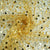 Golden Imported Pearl & Sequence Embroidery Net Fabric 9424