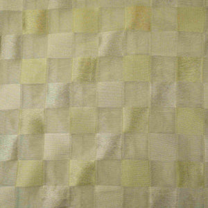 Silver Grey Check Kanjivaram Silk Fabric MTI-31645 - TradeUNO