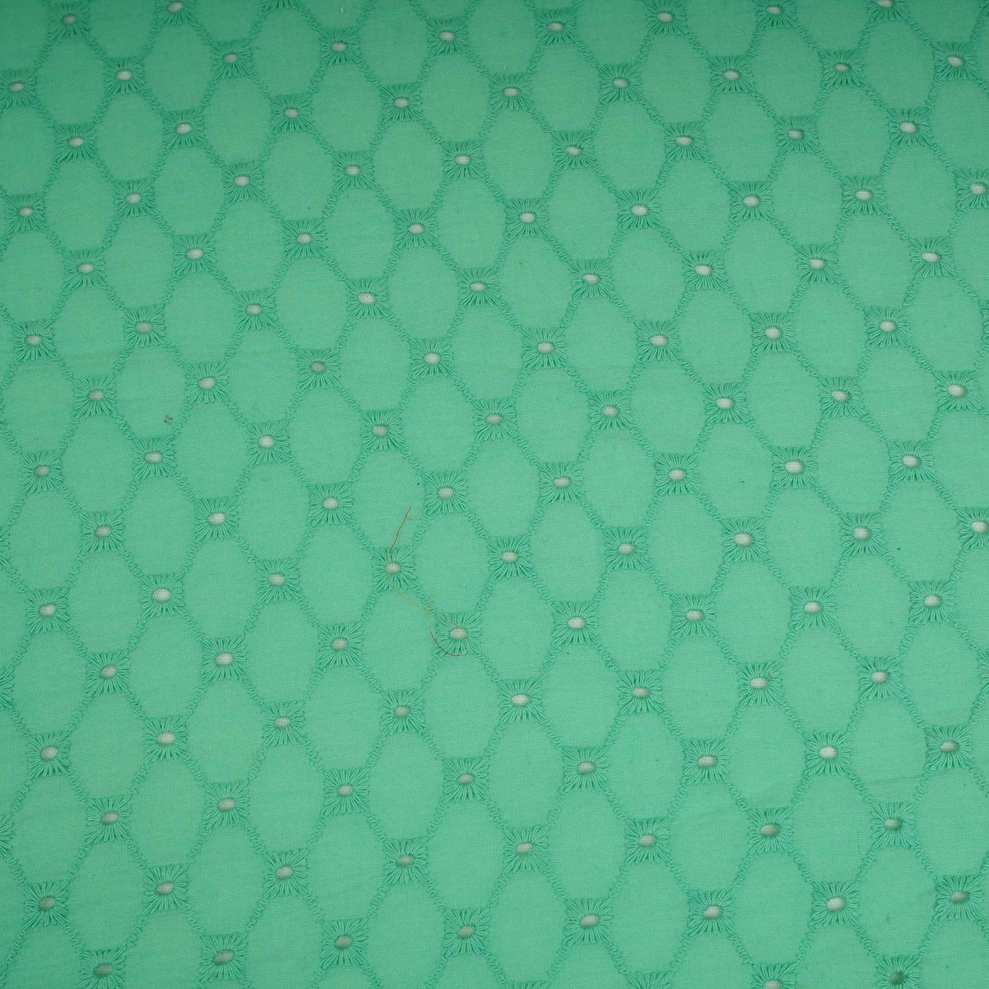 Exclusive Cotton Schiffli Mint Green Sequins Embroidery Fabric
