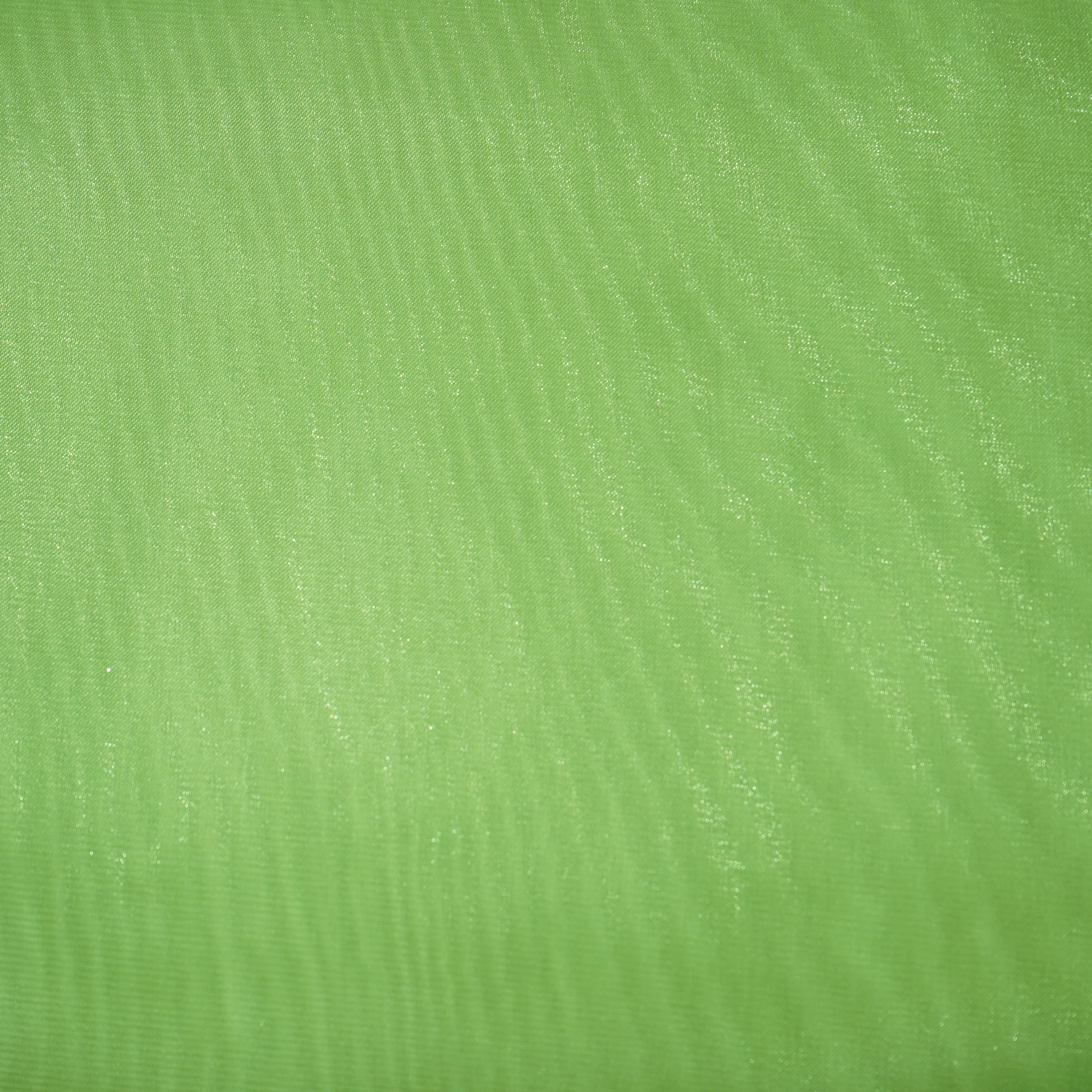 Pista Green Solid Jimmy Choo Organza Fabric 21948