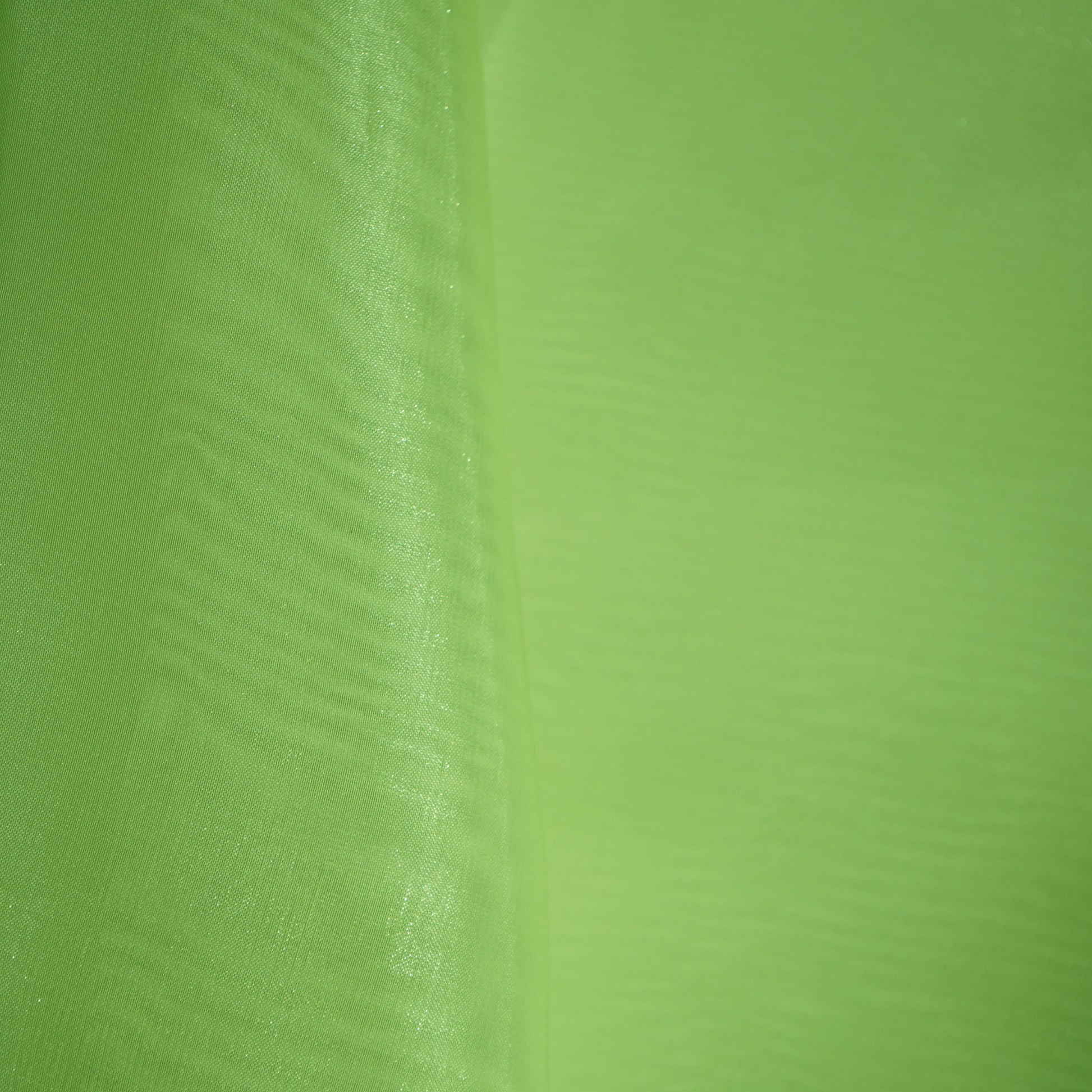 Pista Green Solid Jimmy Choo Organza Fabric 21948