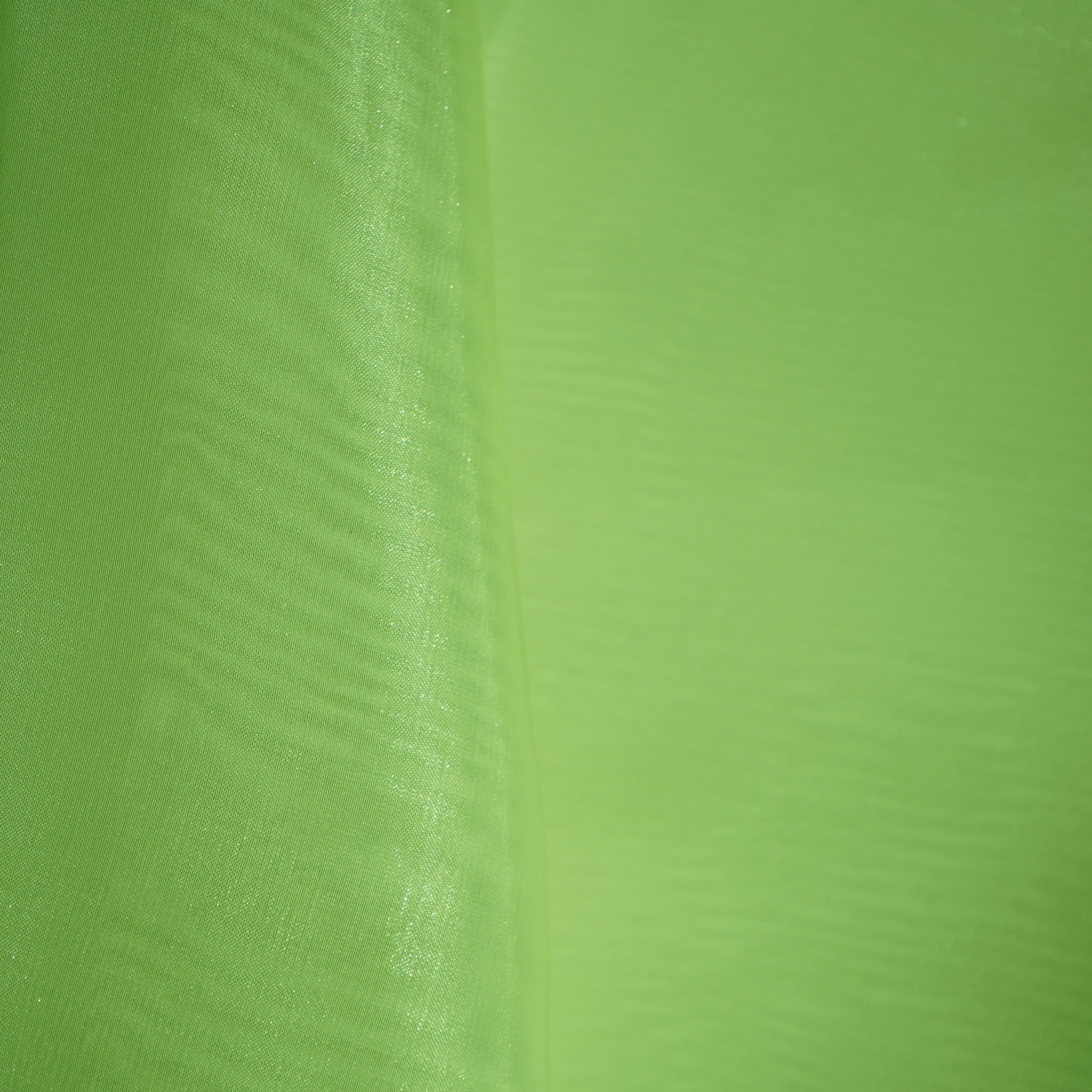 Pista Green Solid Jimmy Choo Organza Fabric 21948