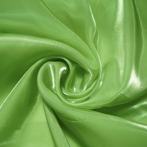 Pista Green Solid Jimmy Choo Organza Fabric 21948