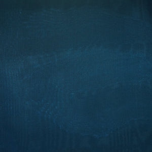 Blue Solid Jimmy Choo Organza Fabric 21949