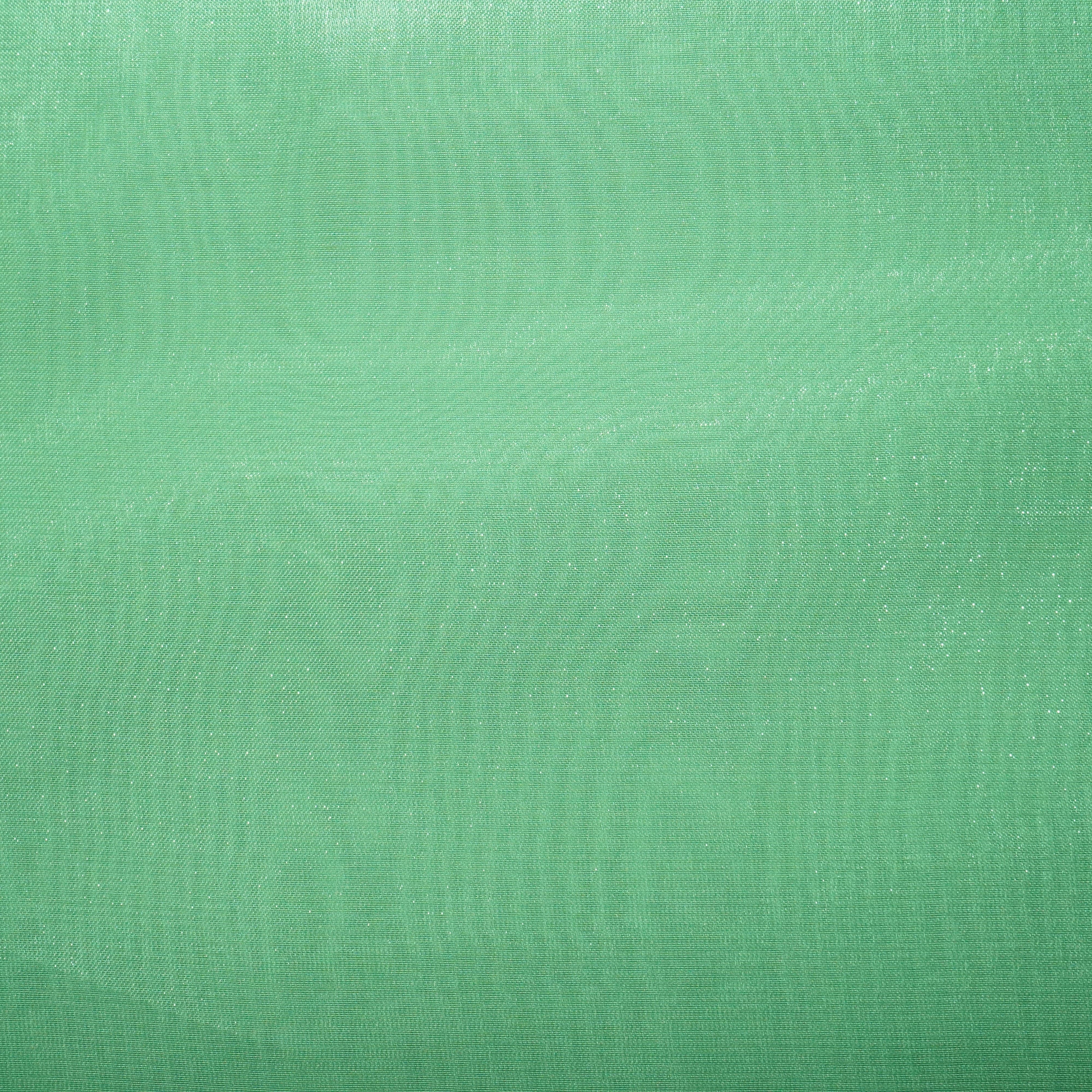 Mint Green Solid Jimmy Choo Organza Fabric 21951