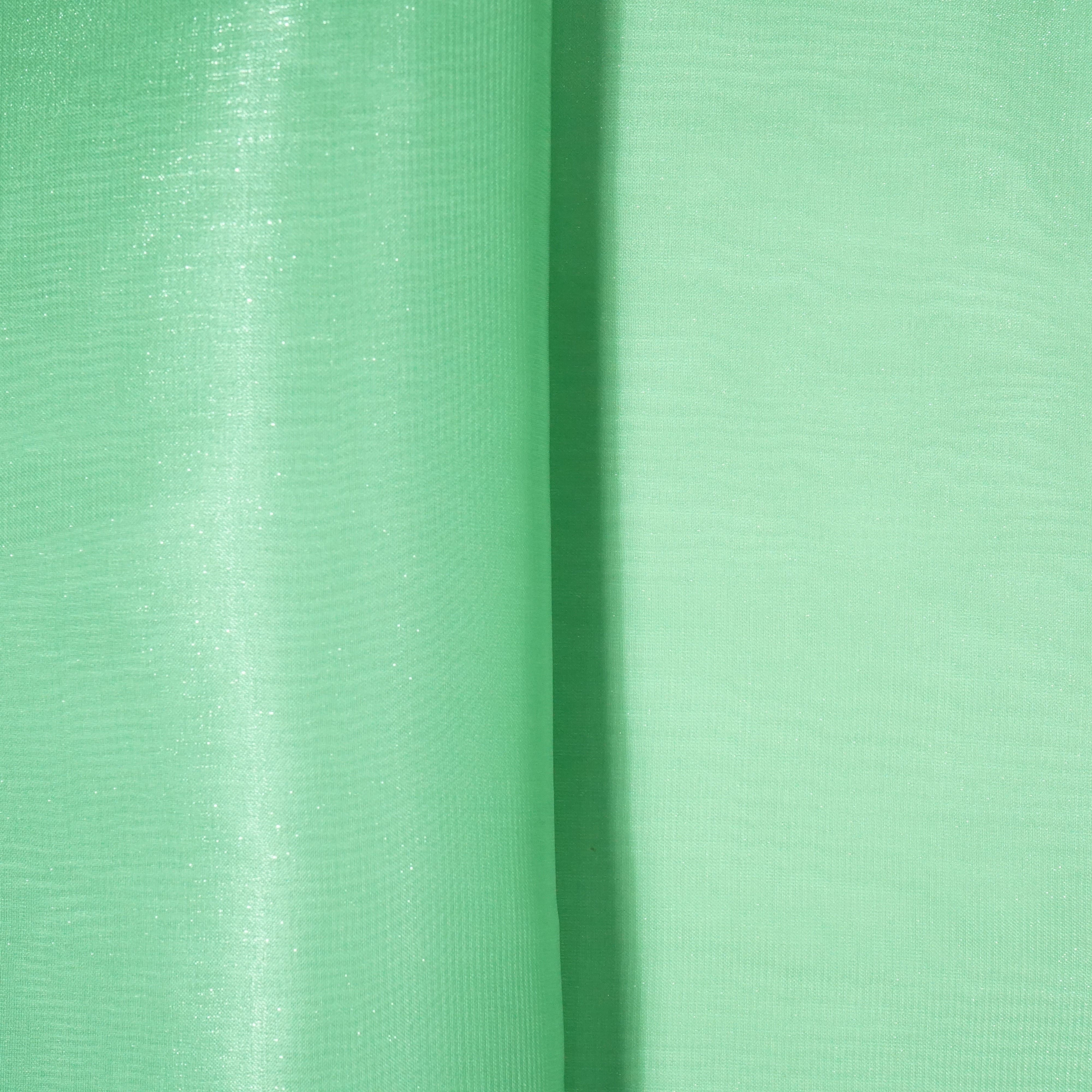 Mint Green Solid Jimmy Choo Organza Fabric 21951