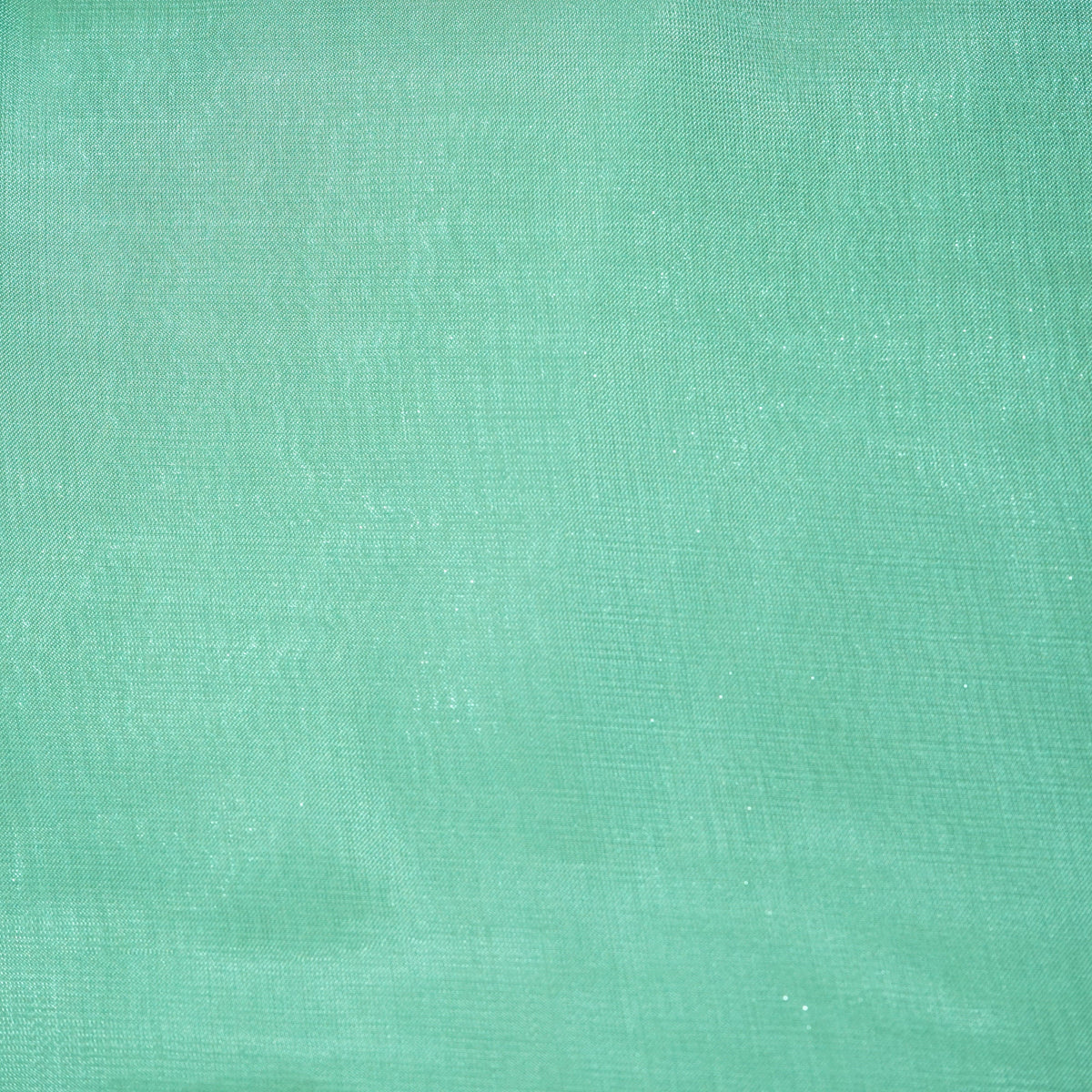Sea Green Solid Jimmy Choo Organza Fabric 21960
