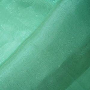 Sea Green Solid Jimmy Choo Organza Fabric 21960