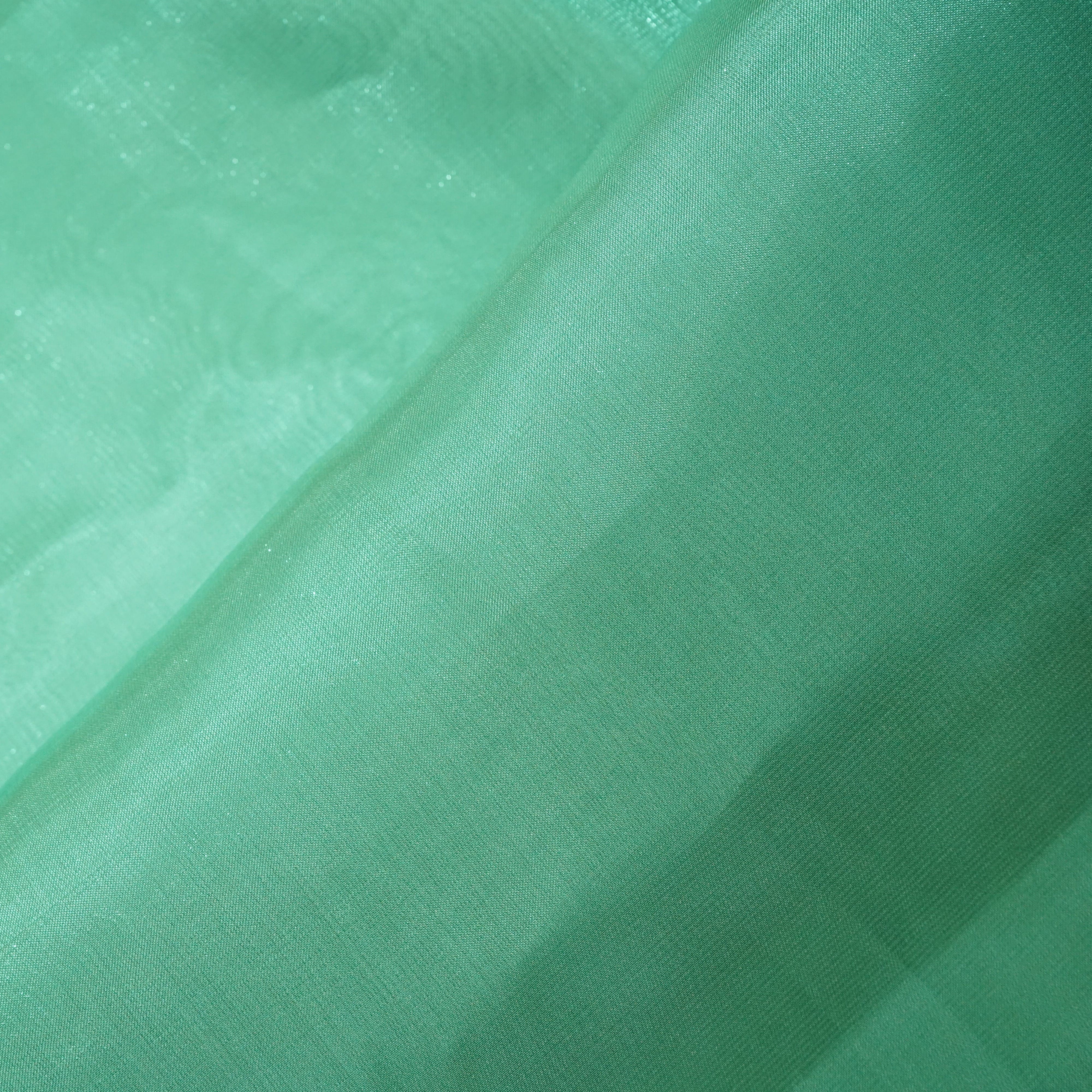 Sea Green Solid Jimmy Choo Organza Fabric 21960