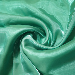 Sea Green Solid Jimmy Choo Organza Fabric 21960
