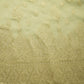 Gold Zari Paisley Border Work Tissue Organza Fabric